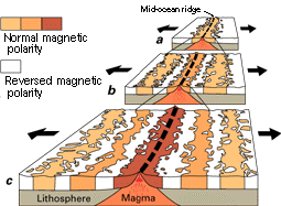 Constructive margin or sea floor spreading . Diagram shows magnetic strpies caused by lignment of iron minerlas in lava to poles. USGS